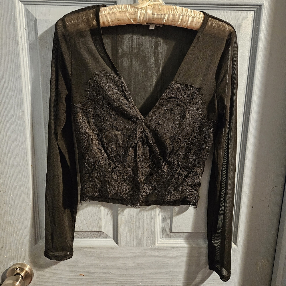 Charlotte Russe Sheer Lace Crop Top